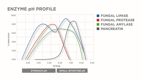 Enzyme pH profile