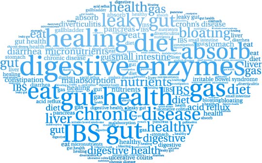 digestive enzymes gut health