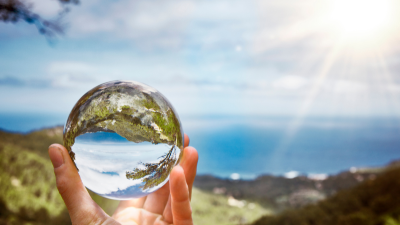 Systemic Enzymes - The Way of the Future